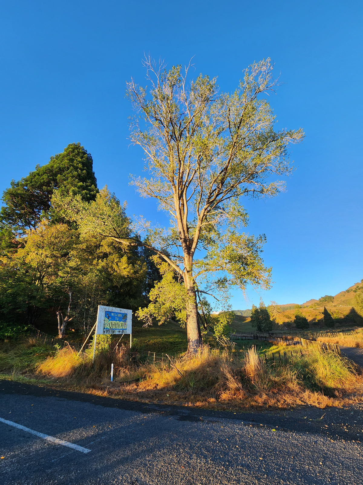 Ohura Road Sign T-Shirt